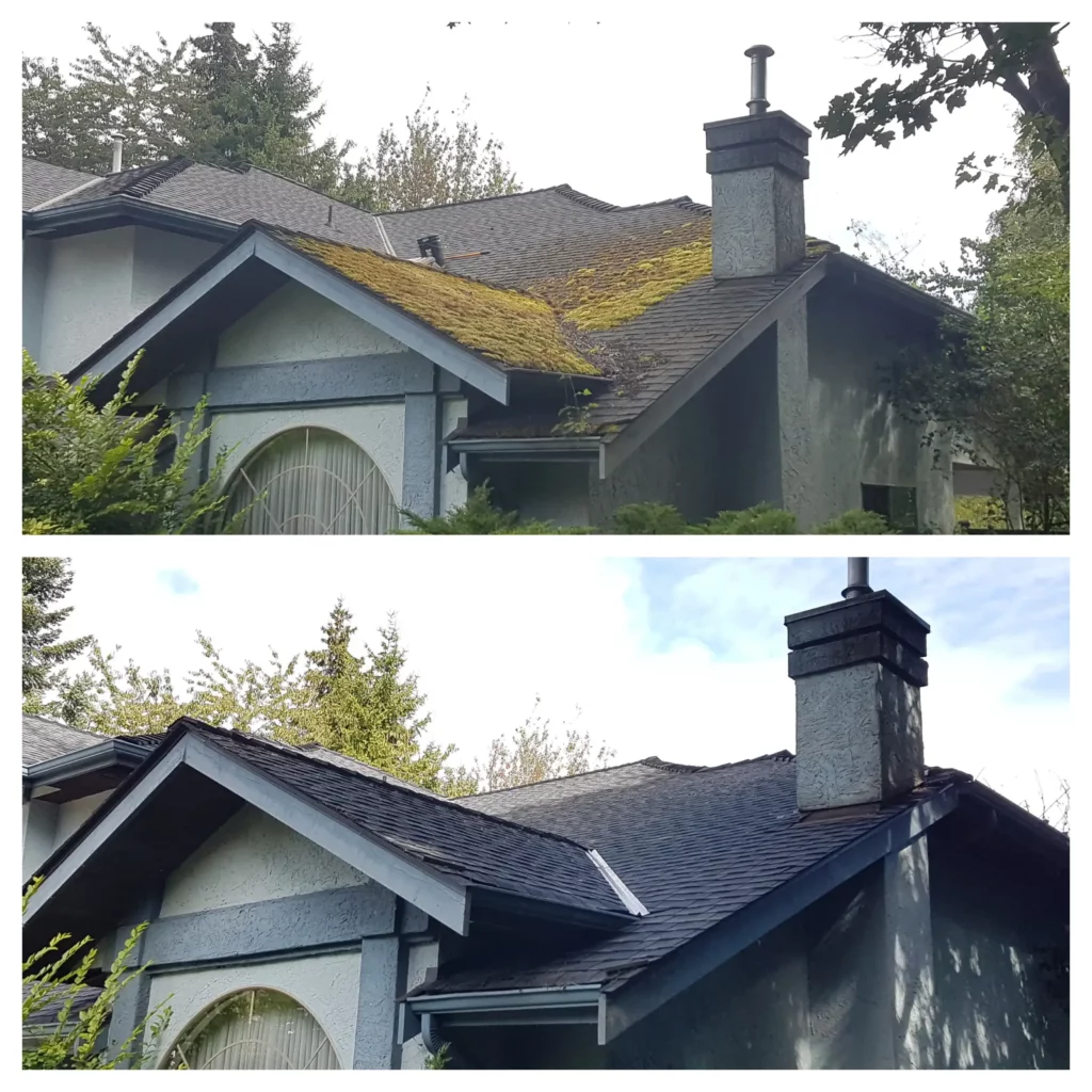 A Vancouver house before and after a roof cleaning service was completed to remove moss