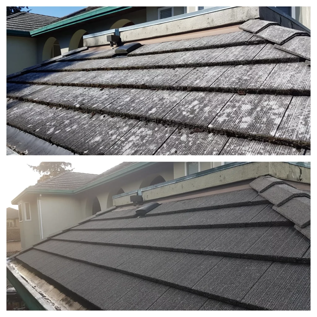 A roof in Vancouver before and after a roof cleaning service to remove moss and lichen