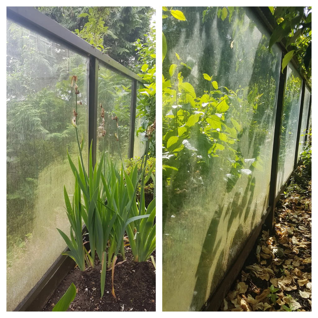 Glass before and after a window cleaning service was completed in Vancouver